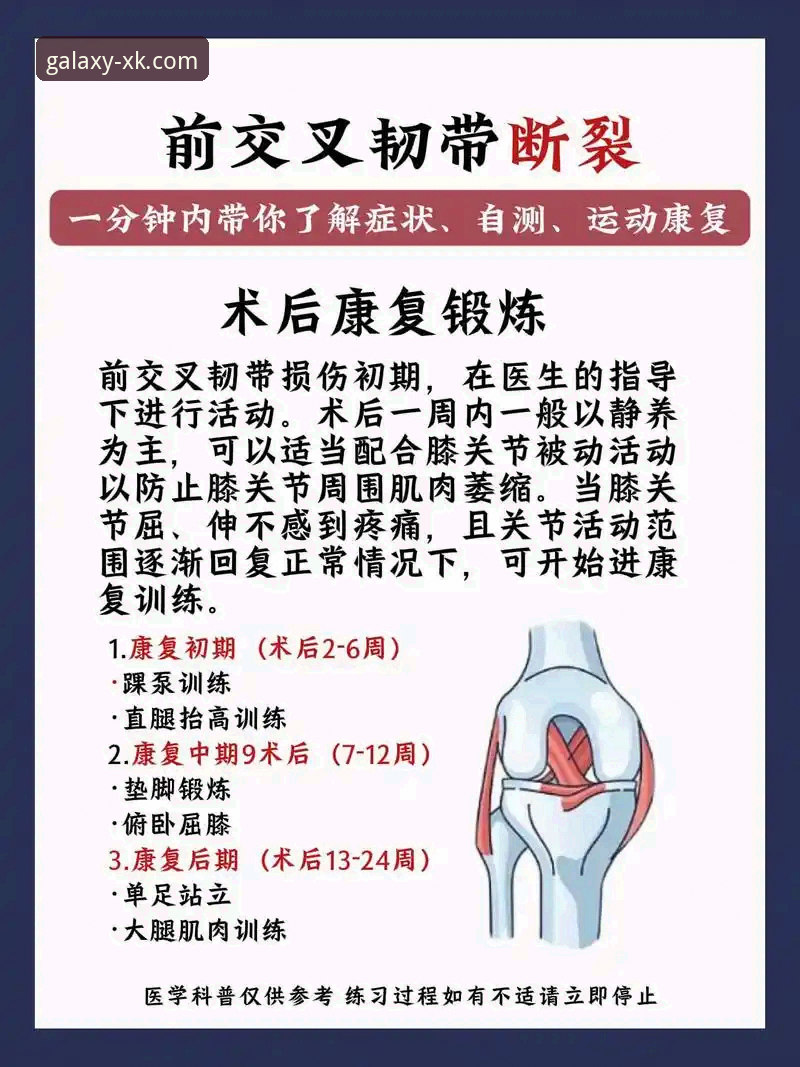 贝里瓦尔手术康复全记录：三条韧带如何重塑世界杯梦想